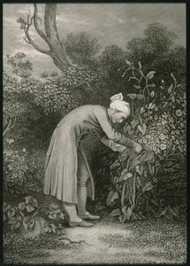 William Cowper (1731-1800) af English School